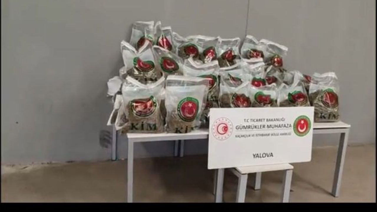 Yalova Limanında 80 kilo esrar yakalanmıştı: TIR şoförü tutuklandı