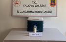 Yalova'da 5 Milyon Dolarlık Akrep Zehri Operasyonu! Jandarmadan Kaçakçılığa Büyük Darbe