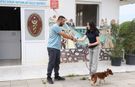 Çiftlikköy’de Sokak Hayvanlarına Mobil Uygulamayla Sahiplendirme İmkanı