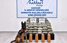 Yüksekova’da Arı Kovanlarına Gizlenmiş 91,1 Kilo Uyuşturucu Ele Geçirildi