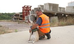 Deprem gönüllüsü sahiplendiği köpeği "Maxi"yi afetler için eğitiyor