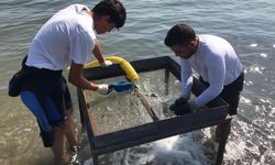 Hersek Deltası Kazıları, tarihe ışık tutacak