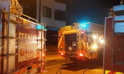 Altınova'da baca yangını korkuttu