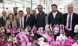 Bitkisel Üretim Genel Müdürü Dr. Mehmet Hasdemir Yalovalı Üreticilerle buluştu