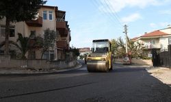 Zeytin Sokak asfaltına kavuştu