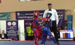 Türkiye Wushu Kung Fu Şampiyonası, Yalova'da başladı