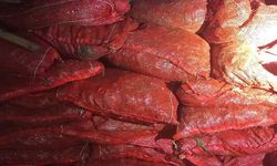 Altınova’da kaçak midye baskını: 1 ton 150 kilo yakalandı