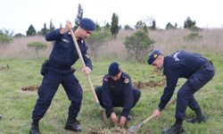 Jandarma personeli ağaç dikti