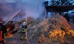 Altınova’da hangar yangını: Küle döndü
