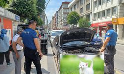 Motora sıkışan kediyi polis kurtardı