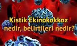 Kistik Ekinokokkoz (Kist Hidatik) Nedir ?