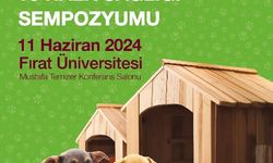 TÜBA, Bilim İnsanlarını Sokak Hayvanları için Bir Araya Getiriyor