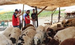 Suat Parıldar’dan kurban uyarısı