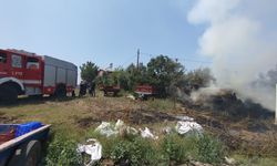 Altınova'da korkutan arazi yangını
