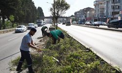 Orta refüjlerde kapsamlı temizlik