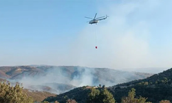 Uşak’ta Orman Yangını: 40 Saat Sonra Kontrol Altına Alındı