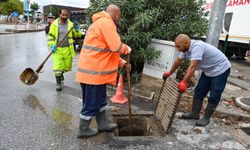 Yalova genelinde mazgal temizliği