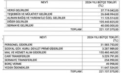 Kadıköy Belediyesi'nin 2024 Bütçesi