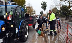 Yalova Belediyesi’nden gece boyu yağışla mücadele