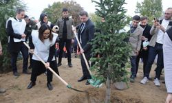 Yalova’da ağaç dikme seferberliği