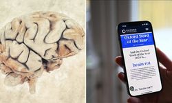 Oxford'un Yılın Kelimesi: Brain Rot