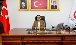 Vali Hülya Kaya Yalovalıların yeni yılını kutladı