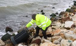 Yalova’da vandallar yine rahat durmadı