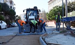 Yalova'da Mahallelerde Altyapı ve Yol Onarımı