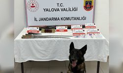 Yalova’da Jandarmadan Uyuşturucu Operasyonu: Silah ve Uyuşturucu Ele Geçirildi