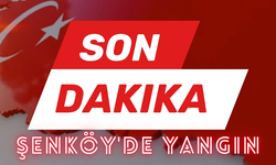 Şenköy’ün ormanları (ciğerimiz) yanıyor