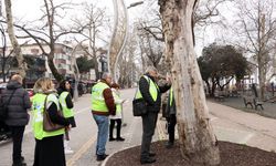Yalova’da Anıt Ağaç Söyleşisi