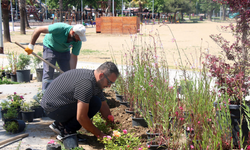 Yalova’da Eş Zamanlı Altyapı ve Peyzaj Atağı