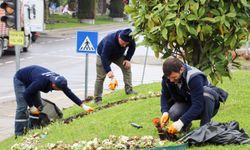 Tonami Meydanı Yaza Hazırlanıyor