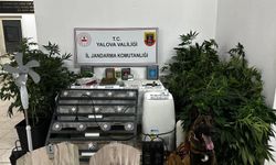 Jandarma'dan İklimlendirmeli Seraya Operasyon