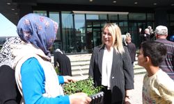 Altınova'da 20 Bin Ata Tohumu Fide Dağıtıldı