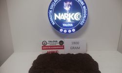 Yalova’da Uyuşturucu Operasyonu: 1 Kilo 800 Gram Sentetik Kannabinoid Ele Geçirildi