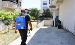 Yalova’da Larva İlaçlaması Başladı