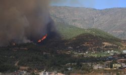 İzmir ve Hatay’da Yangın Alarmı