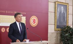 Orman Artışı İllüzyon, Gerçekte Rant Var