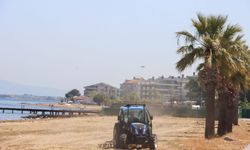 Yalova Sahillerinde Bayram Temizliği