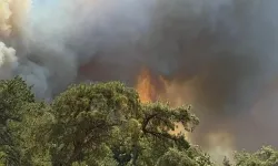 Orman Yangını Bilecik’e Sıçradı