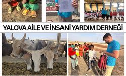 2025 Kurban ve Yardım Çalışmaları Başarıyla Sonuçlandı
