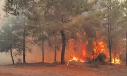 Antalya Orman Yangınları Son Durum