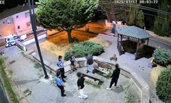 Yalova Belediyesi’nden Çevreye Duyarlı Müdahale