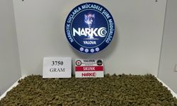 Yalova’da Uyuşturucu Operasyonu: 3 Kilo 750 Gram Skunk Ele Geçirildi