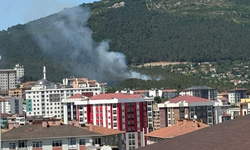 Pendik’te Orman Yangını Alarmı