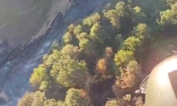 Yalova Sugören Köyü'nde Orman Yangını Kontrol Altına Alındı
