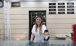 Yalova’da dondurma, Balım ve Tadım da yenir