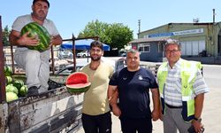Yazın Favorisi Karpuz Oldu