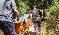 Yalova’da Ormanda Rahatsızlanan Yaşlı Kadın Ekiplerce Kurtarıldı